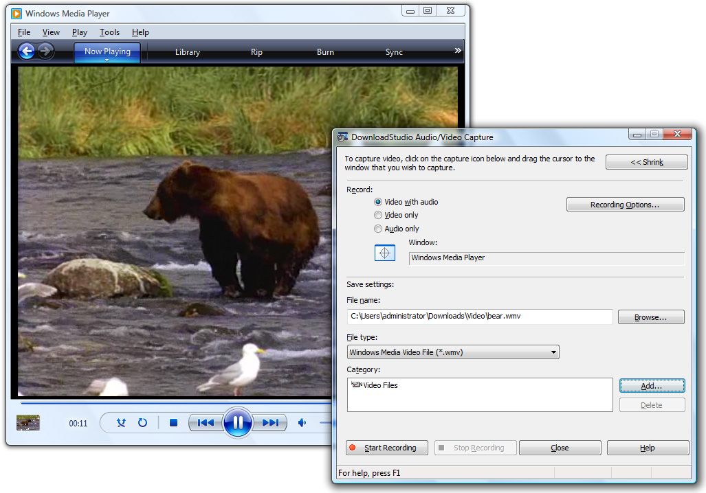screenium capture streaming video